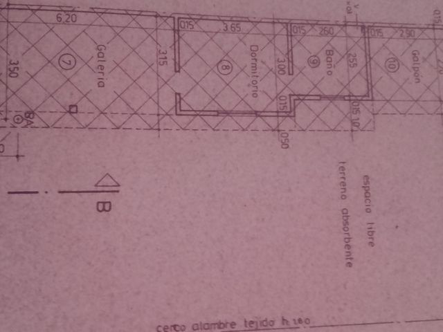 place photo 19