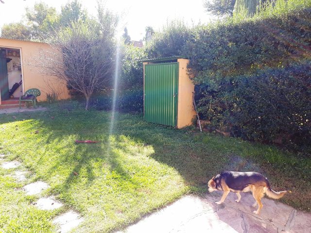 place photo 41