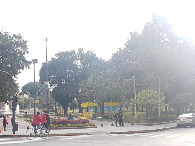 place photo 14