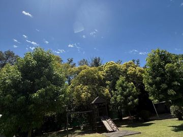place photo 41