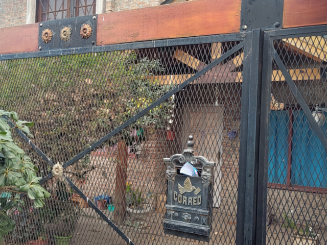place photo 17