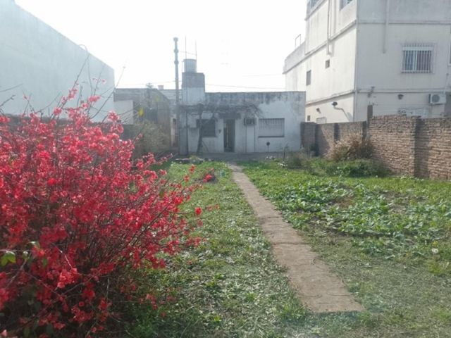 place photo 16