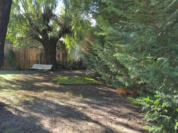 place photo 42