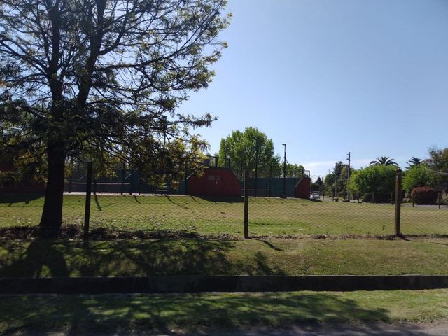 place photo 20