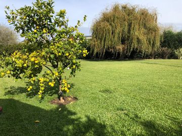 place photo 53