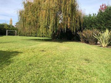 place photo 56