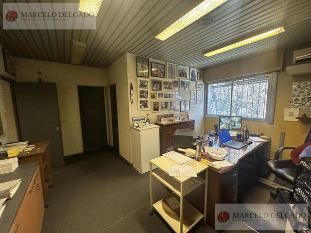 place photo 15