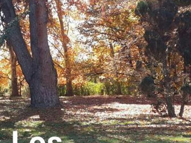 place photo 19