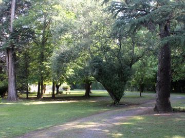 place photo 31