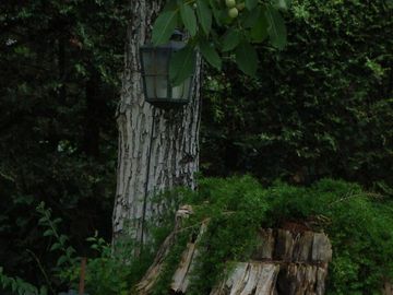 place photo 37