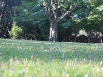 place photo 34