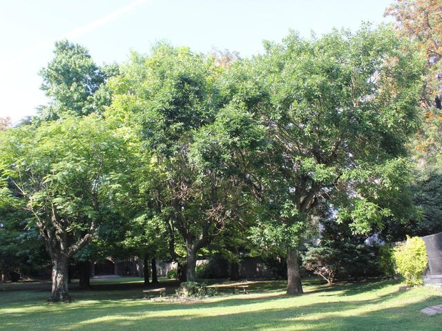 place photo 38