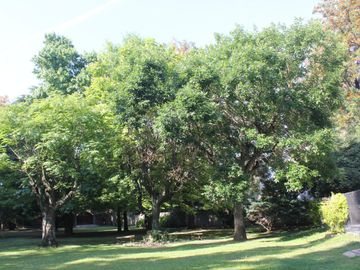 place photo 38