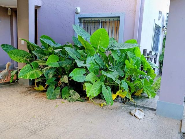place photo 32