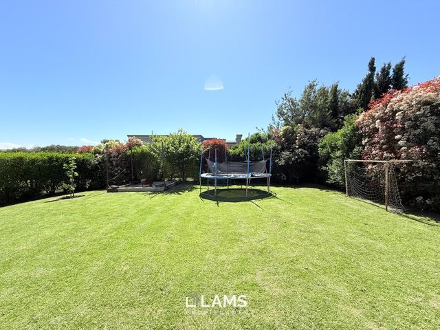 place photo 43
