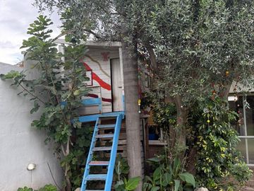 place photo 38
