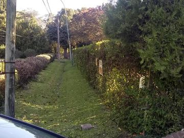 place photo 21