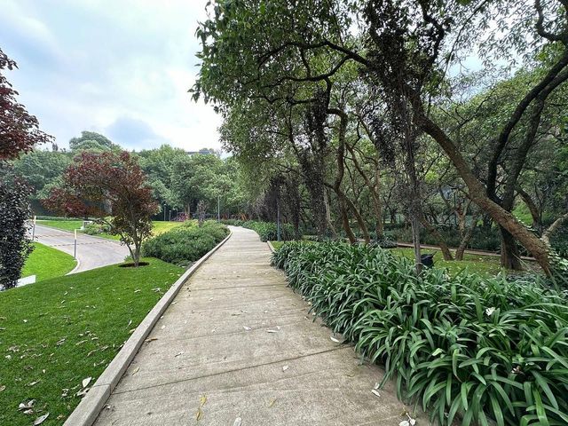 place photo 37