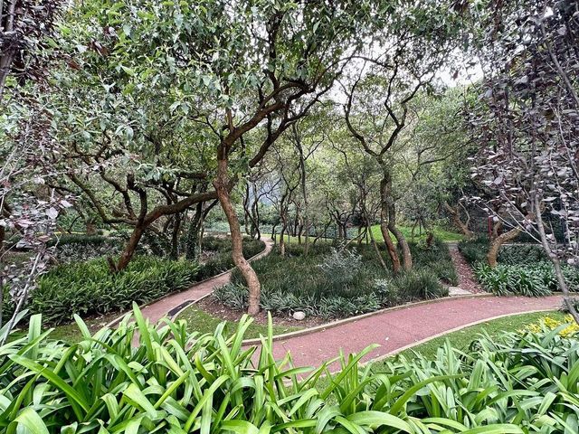 place photo 29