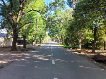 place photo 12