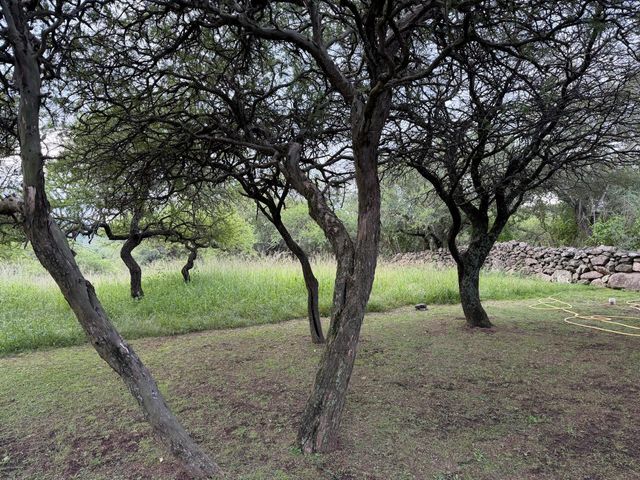 place photo 69