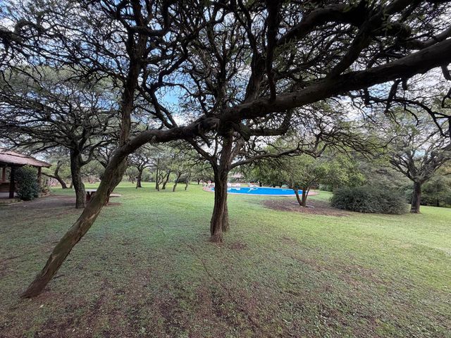 place photo 43