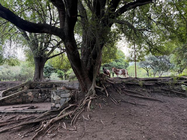 place photo 95