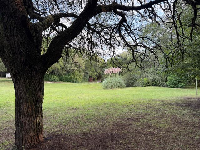 place photo 81