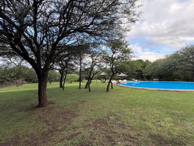 place photo 37