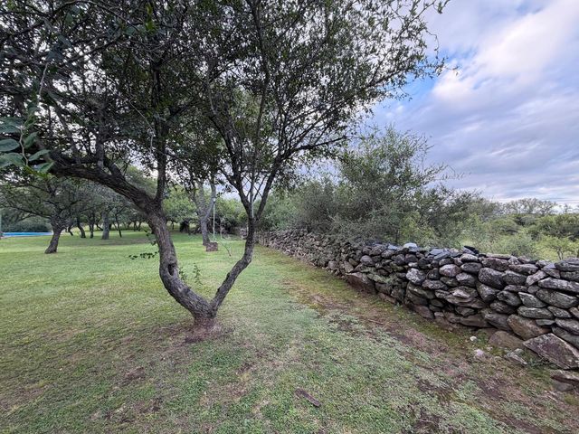 place photo 52