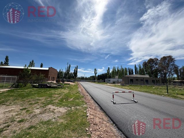 place photo 38
