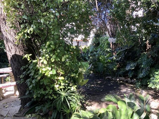 place photo 45