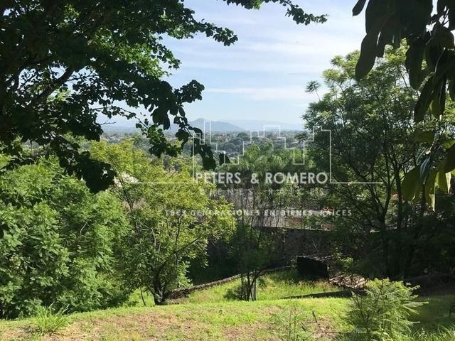 place photo 23