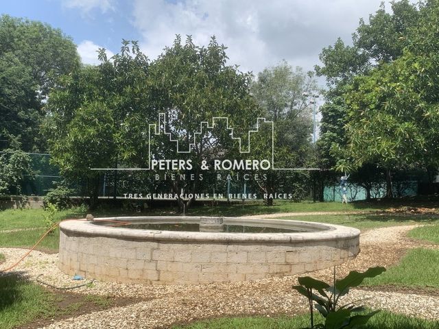 place photo 16