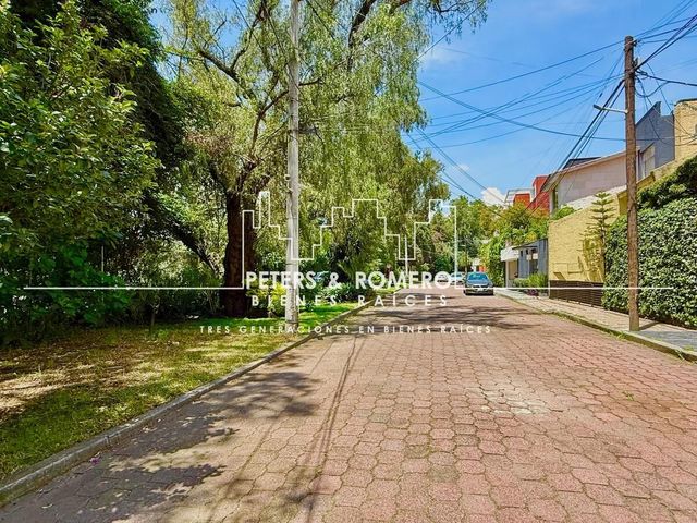 place photo 45