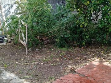 place photo 22