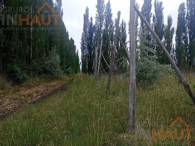 place photo 43