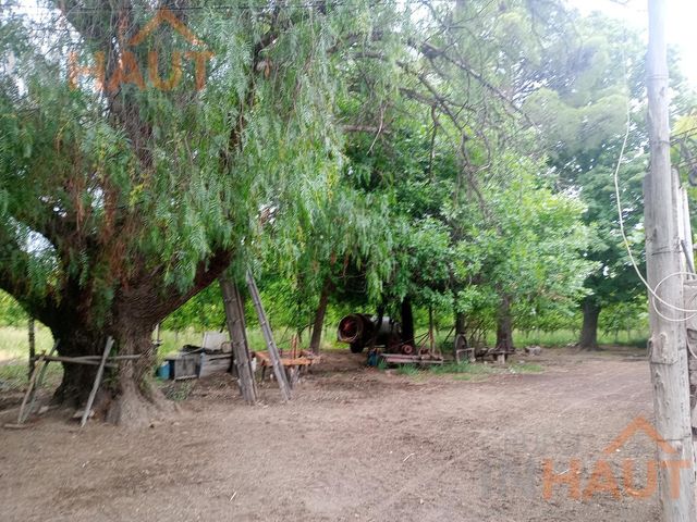 place photo 42