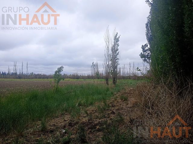 place photo 50