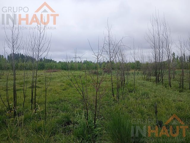 place photo 47