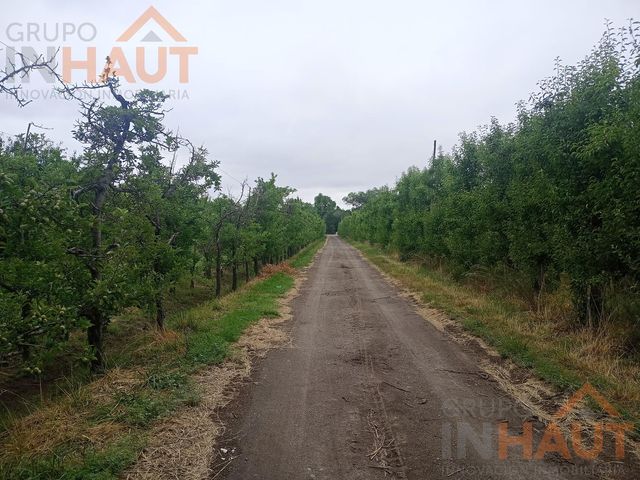 place photo 17