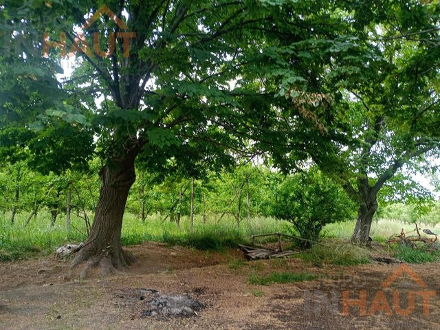 place photo 32
