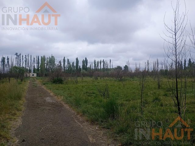 place photo 45