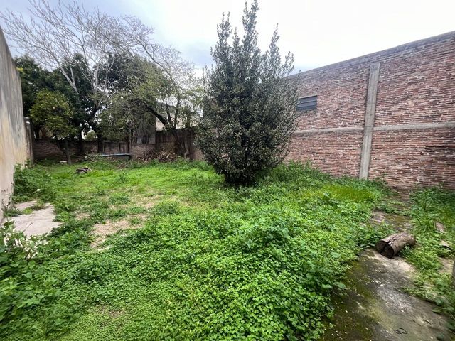 place photo 22