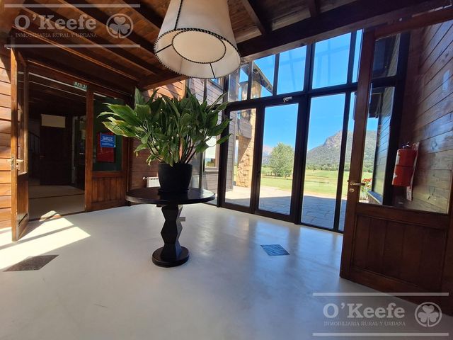 place photo 43