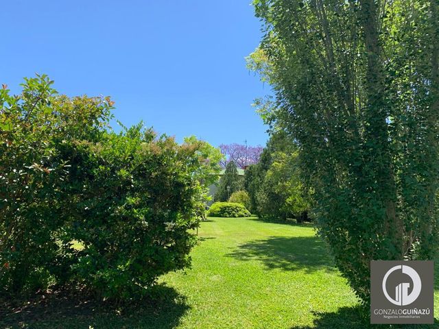 place photo 52