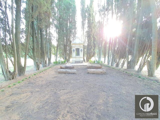 place photo 46