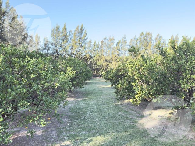 place photo 38
