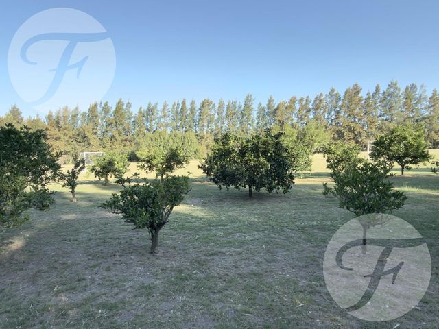 place photo 42