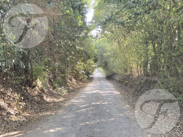 place photo 44